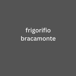 frigorifio bracamonte