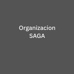 Organizacion SAGA