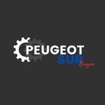 Peugeot Sur Burzaco