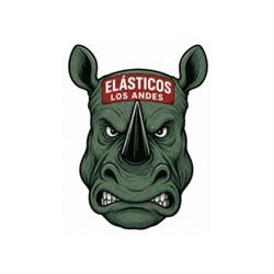 Taller Elásticos los Andes - Repuestos