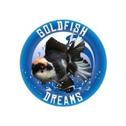 Goldfish DREAMS