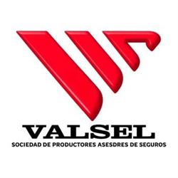 Valsel Sociedad de Productores de Seguros S.R.L
