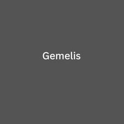 Gemelis casa de combos para fiestas