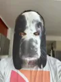 Careta Perro personalizada