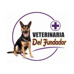 Veterinaria Del Fundador