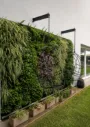JARDINES VERTICALES