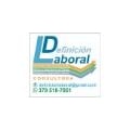 Dl Consultora- Laboral y Empresarial