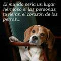 Opiniones
