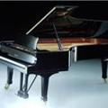 Reparacion De Pianos Carrizo