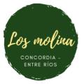Gustavo Fernando Molina