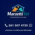 Dr Fernando Marzetti